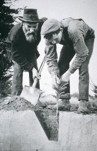 Workers plant seedlings at the nursery in the 1880s