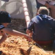 crawling through a termite, Science in the Park 2009