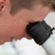 looking at samples through the microscope, Science in the Park 2009