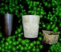 bioplastics workshop 2011