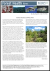FH News 236
