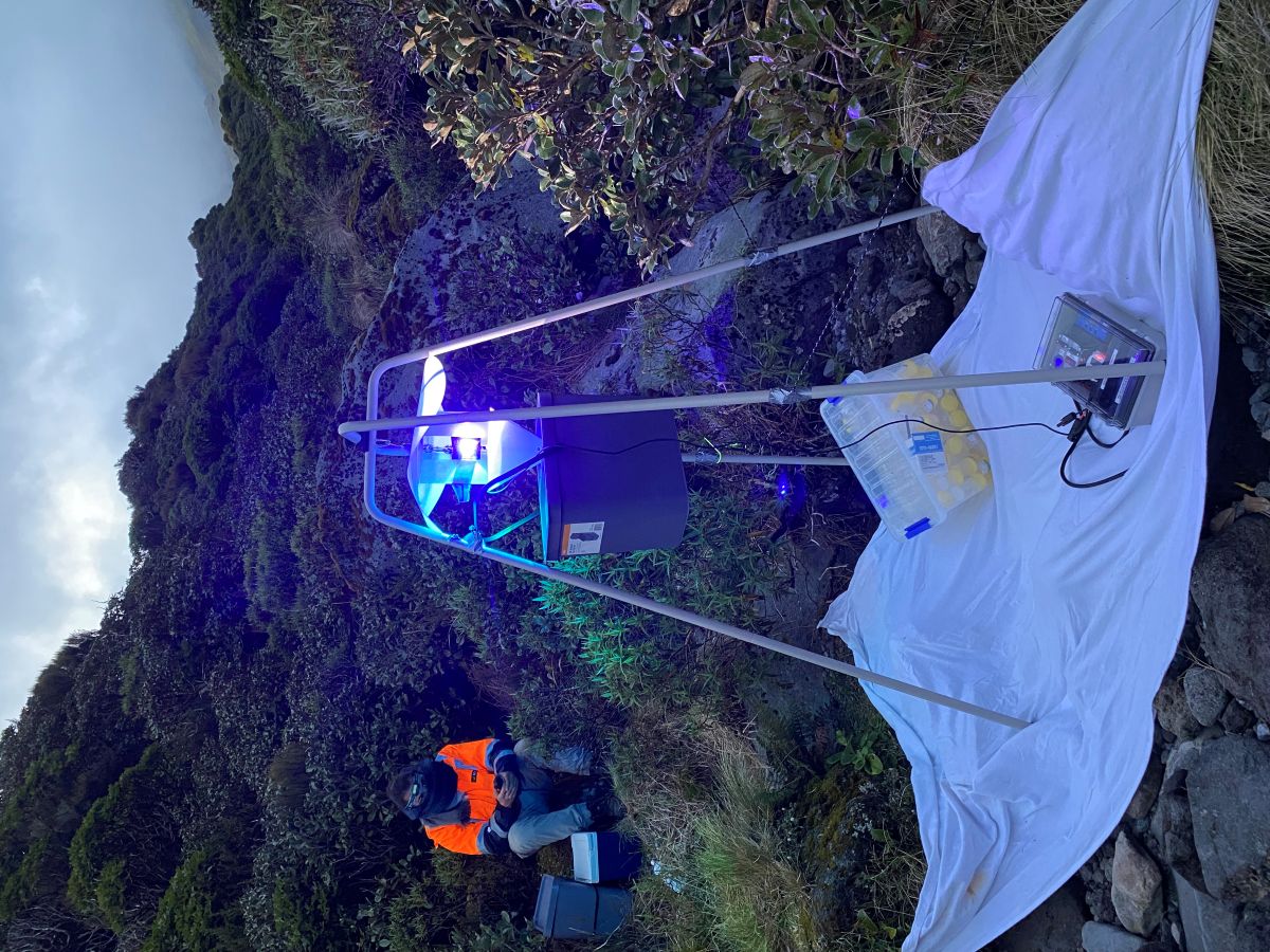Scion staff preparing for a chilly evening of light trapping at Mauganui Bridge, Te Papakur o Taranaki.