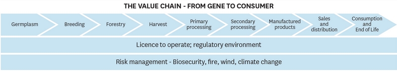 SCI value chain fig