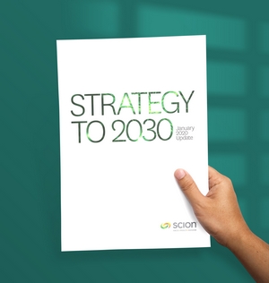 Strategy to 2030