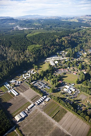 Scion campus aerial with forest