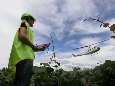 Aerial spraying