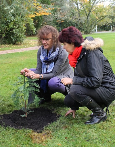 Cathy Hargreaves - left and Alison Stewart