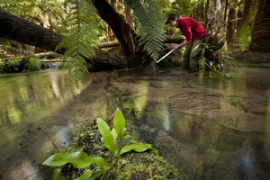 water ecosystems