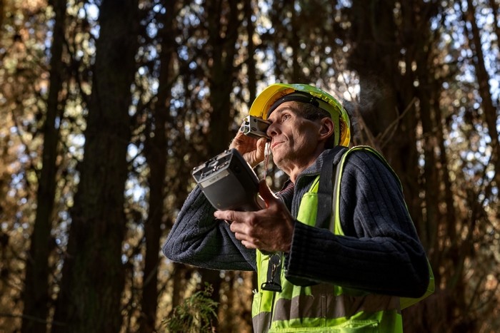 scion research new zealand