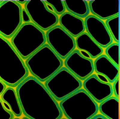 Microscopy image - flim example