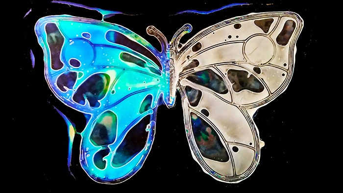 thermobutterfly