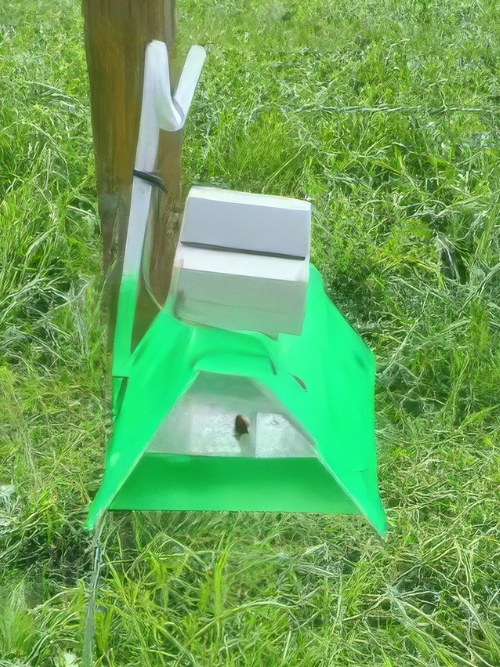 Figure 3: Typical FAW trap set-up with CropVue hardware attached to a delta trap containing a pheromone lure on a sticky trap base.