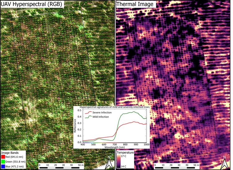 Hyperspectral and thermal images 