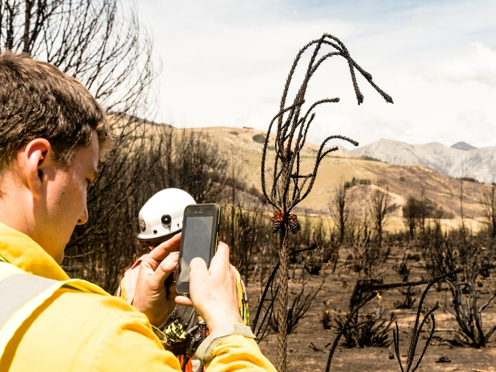 Recording a fire