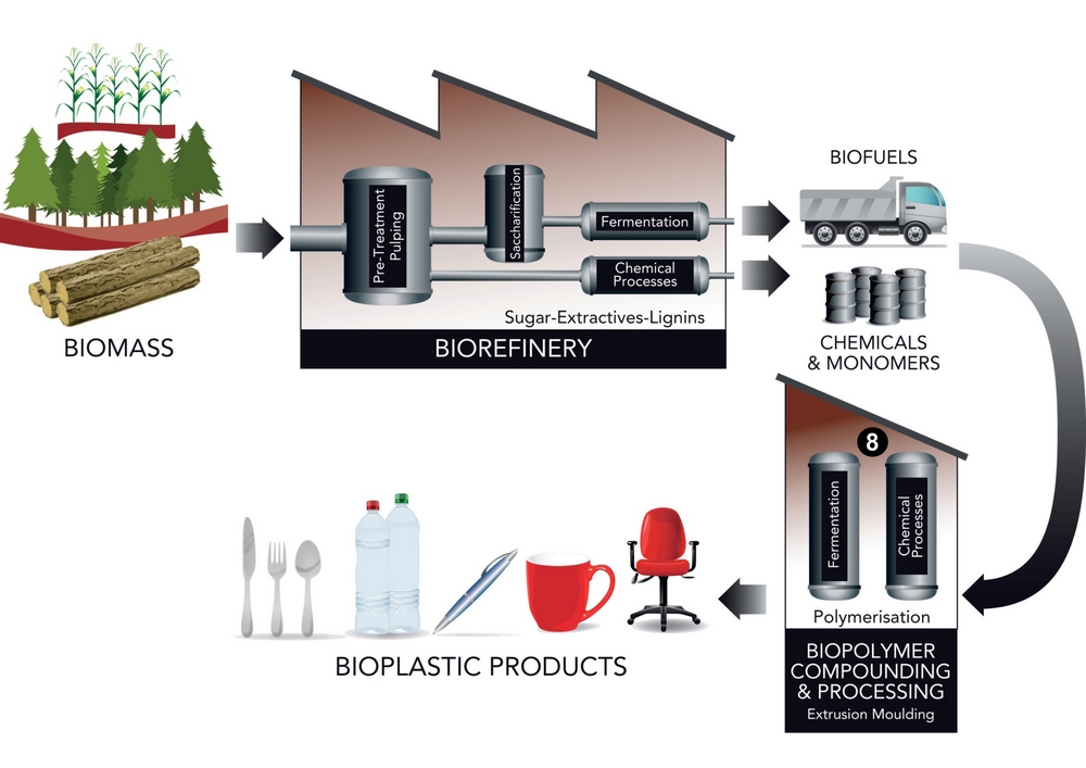 Biorefinery diagram