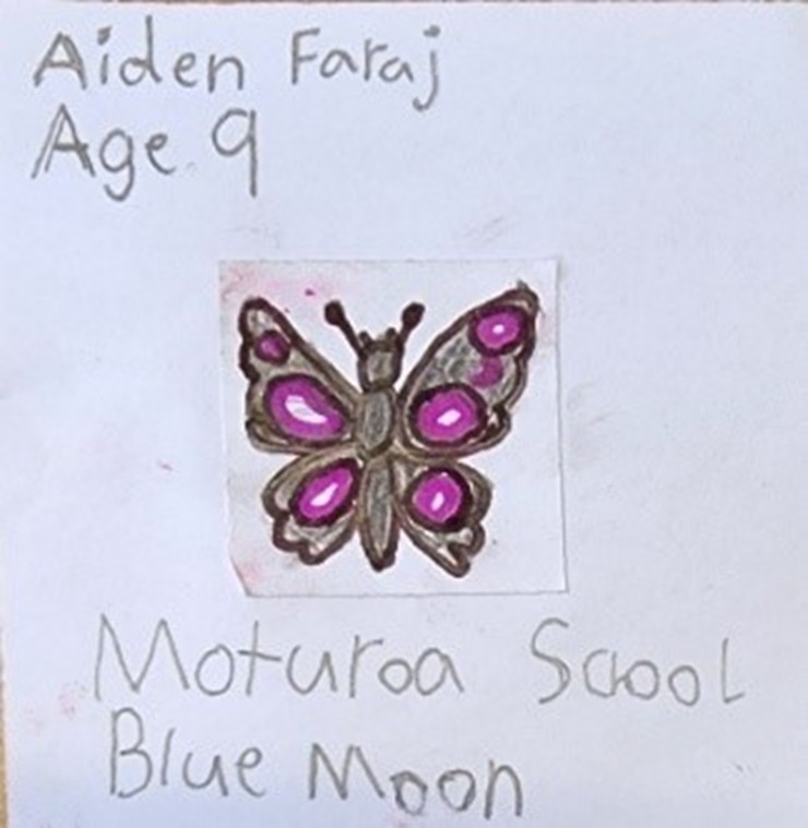 Winning artwork of a blue moon butterfly by Aiden Faraj, age 9.