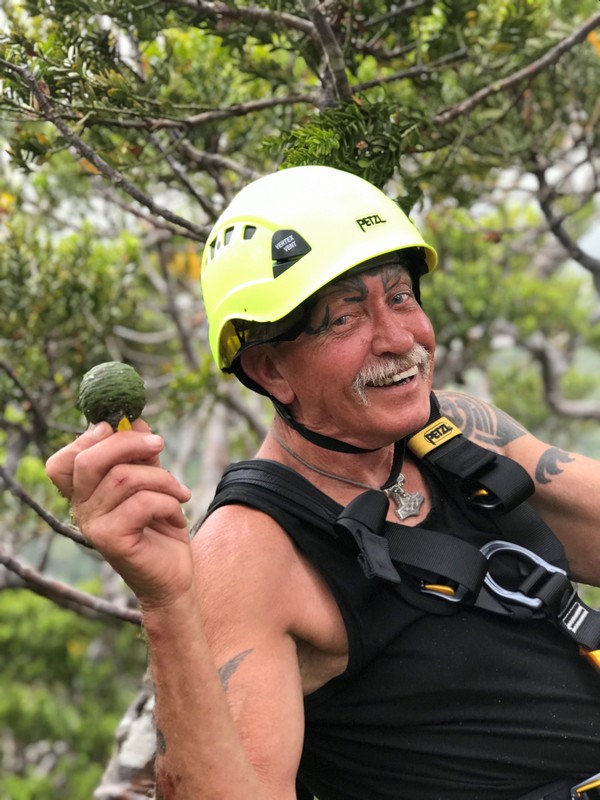 Rongo_Bentson_collecting_cones-TeRarawa