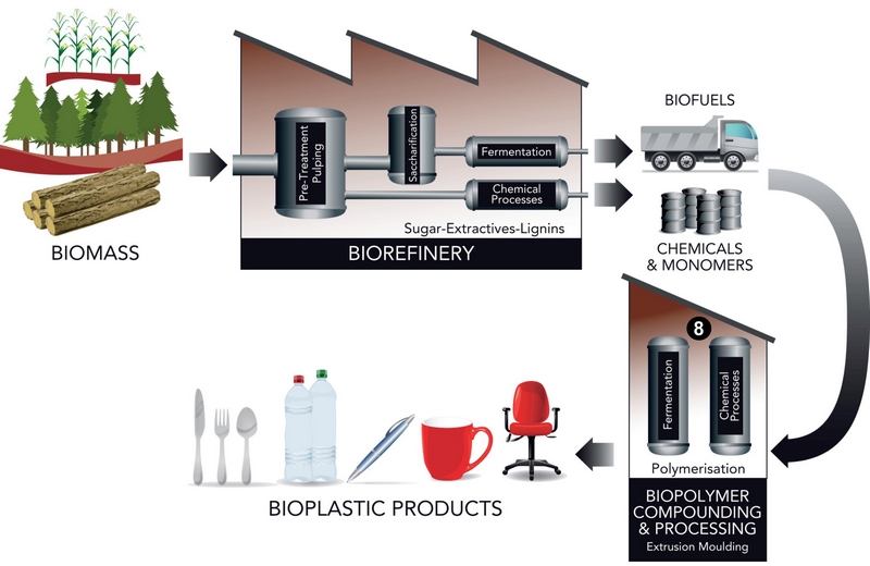 Biorefinery diagram