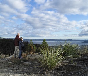 Rotorua basin